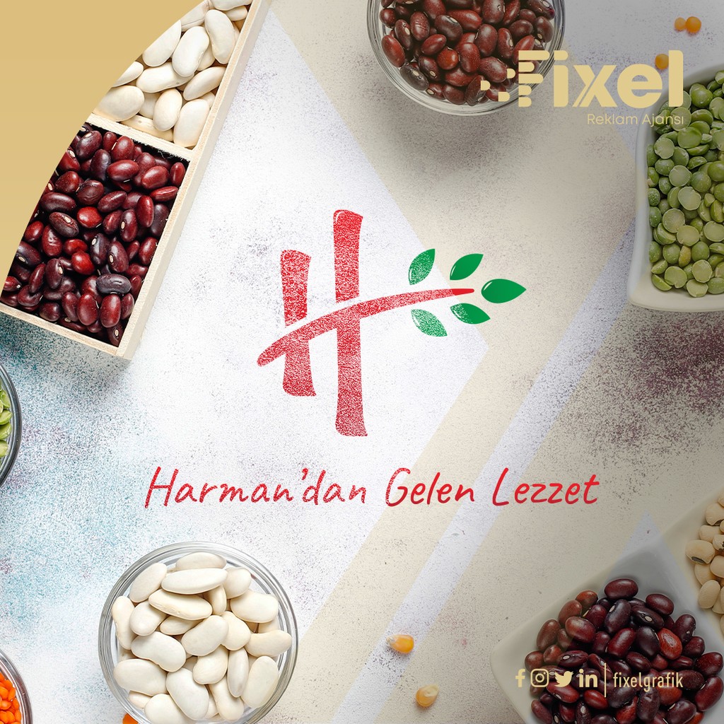 Fixel Grafik çalışması